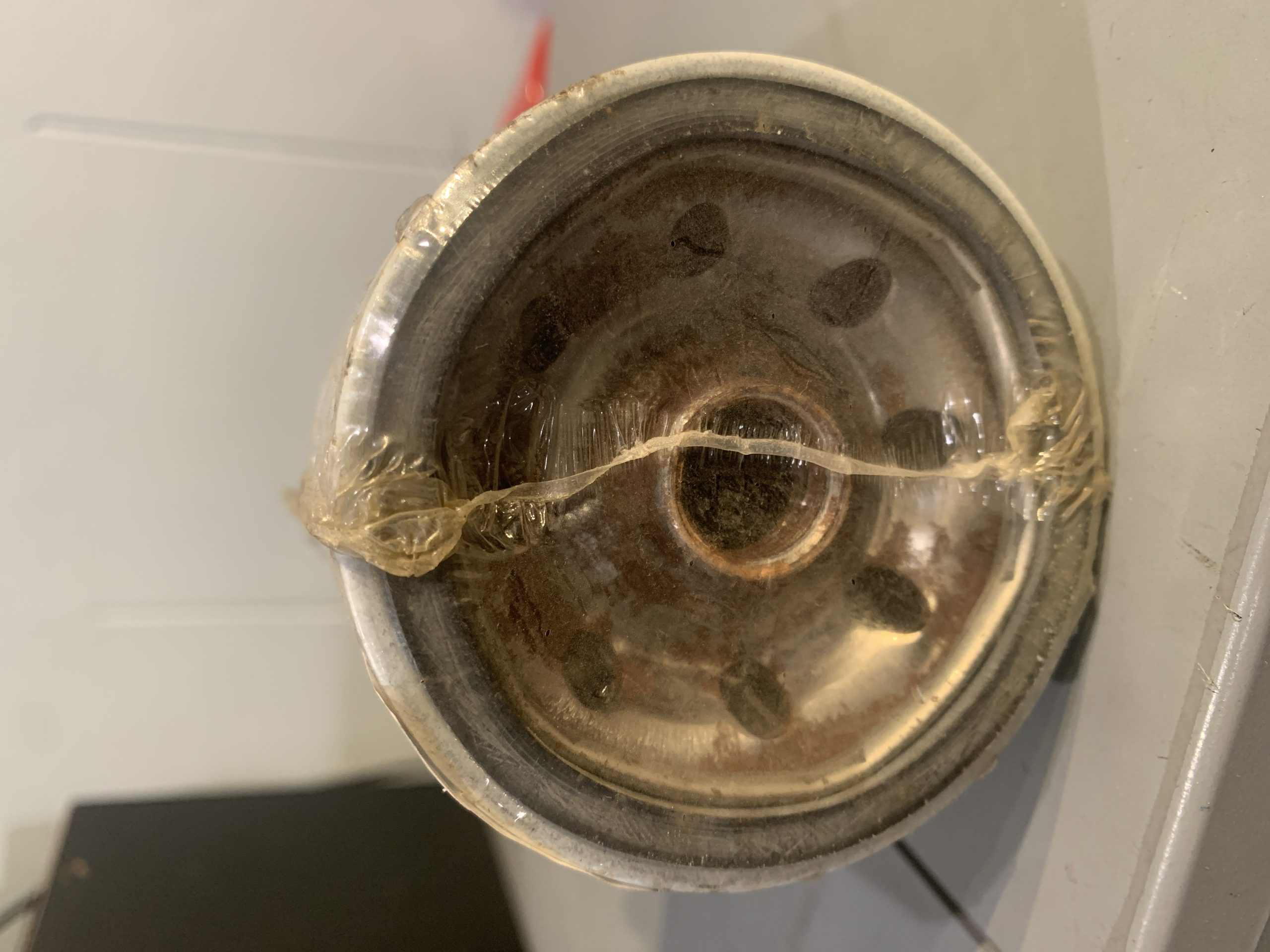 New Genuine Donaldson P555095 Fuel Filter